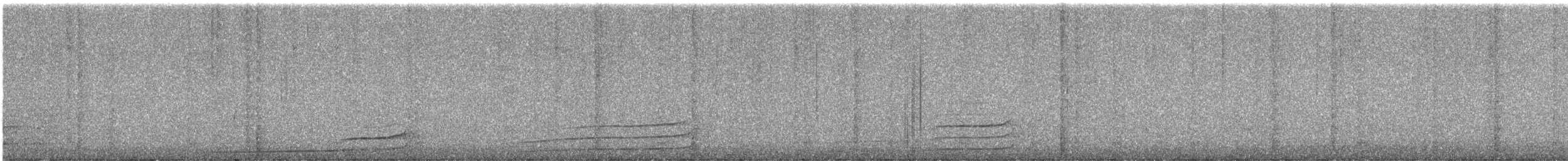 Northern Saw-whet Owl - ML647330919