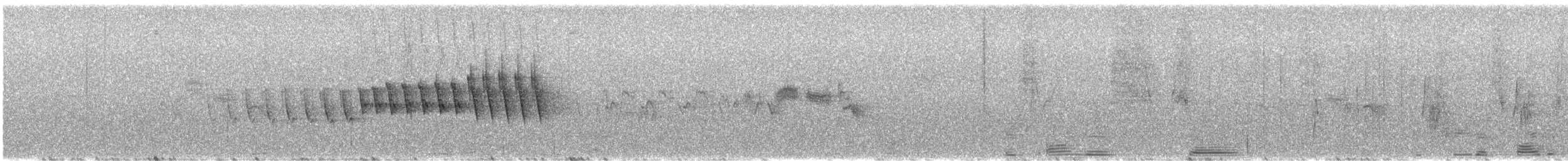 Grace's Warbler - ML647331304