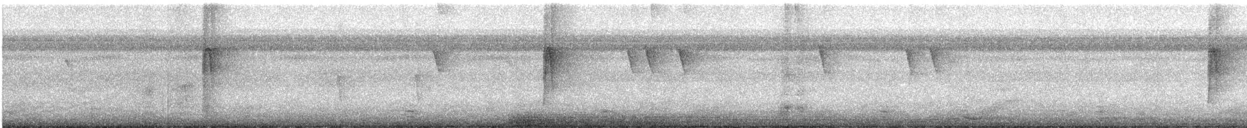 Checker-throated Stipplethroat - ML647331435