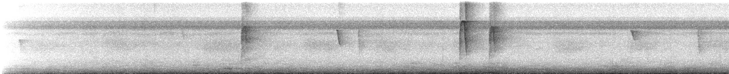 Checker-throated Stipplethroat - ML647331504