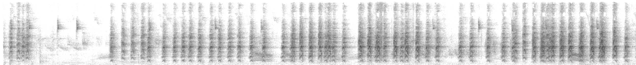 White-tailed Jay - ML647331799