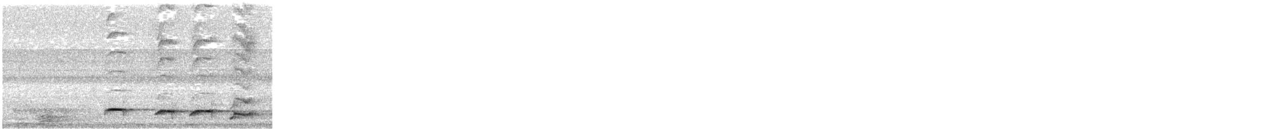 Bay Antpitta - ML647331800