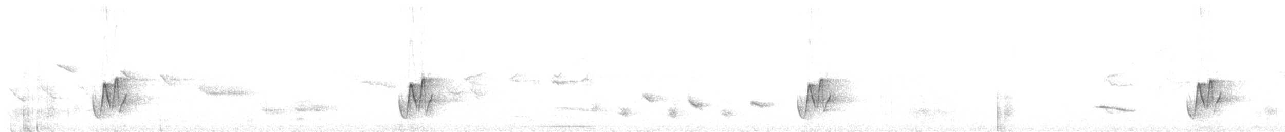 Superciliated Wren - ML647331913