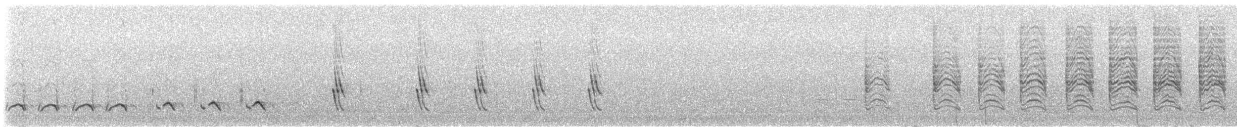 Northern Mockingbird - ML647332059