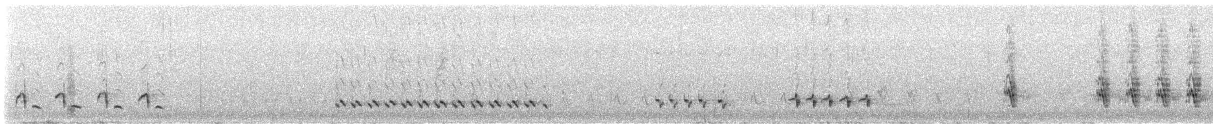 Northern Mockingbird - ML647332060