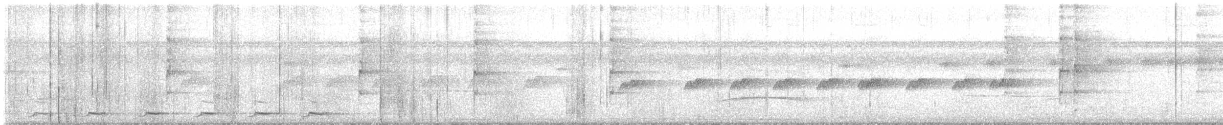 Black-tailed Trogon (Large-tailed) - ML647332586