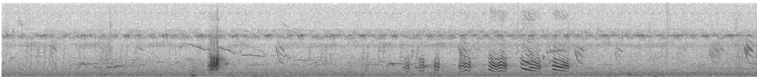 Yellow-bellied Greenbul - ML647333626