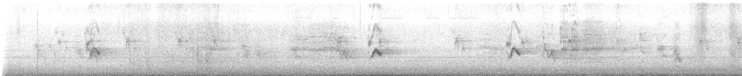 House Sparrow - ML647333755