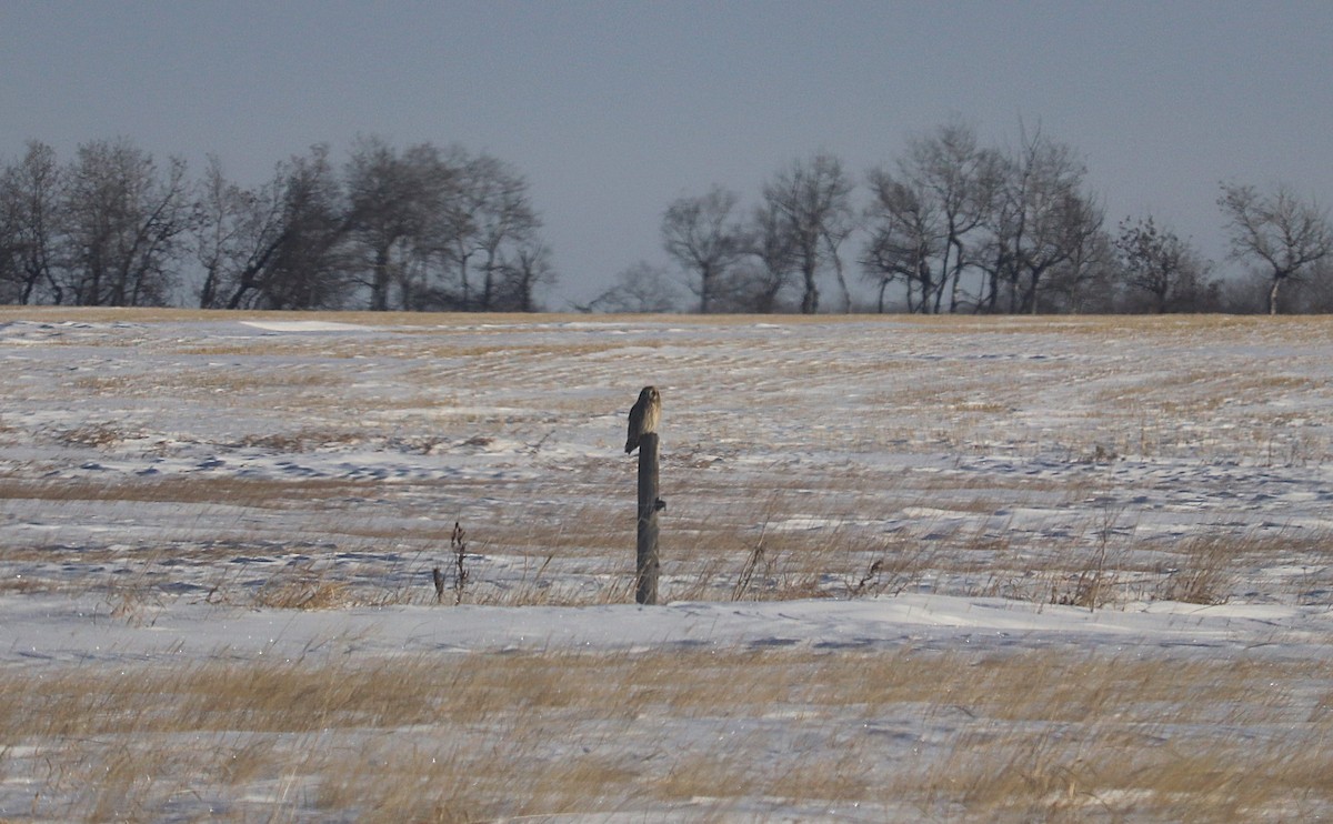 Zingira-hontza - ML647333756