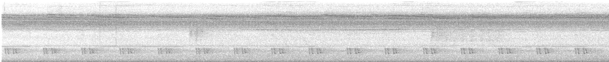 Black-eared Barbet - ML647334057