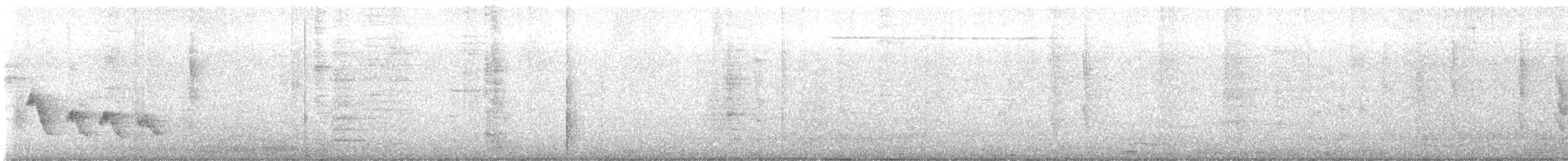 Southern House Wren - ML647334323