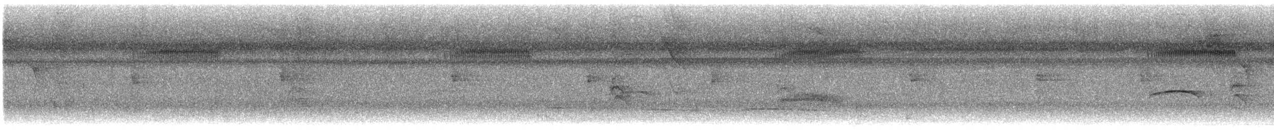 Southern Beardless-Tyrannulet - ML647334507