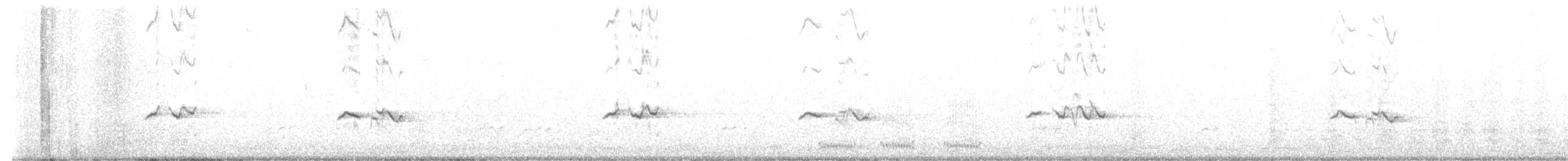 Pinu-gailupa - ML647334554