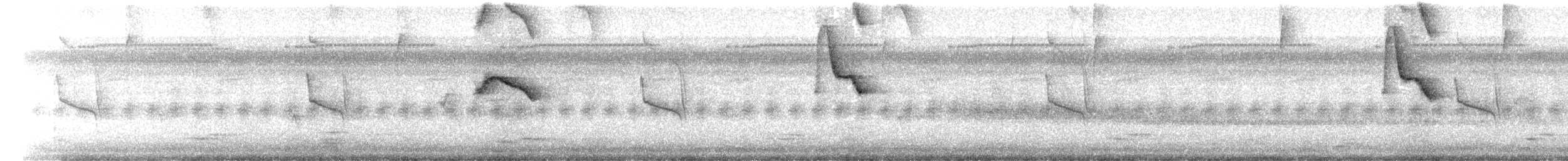 Flammentangare - ML647335529