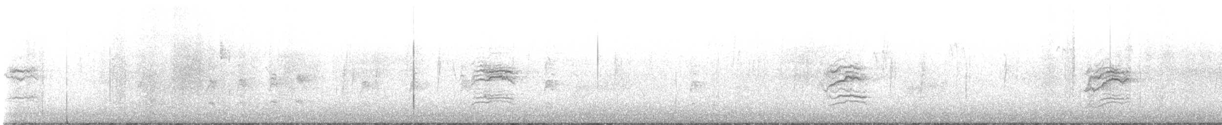 Einsiedler-Musendrossel - ML647335535