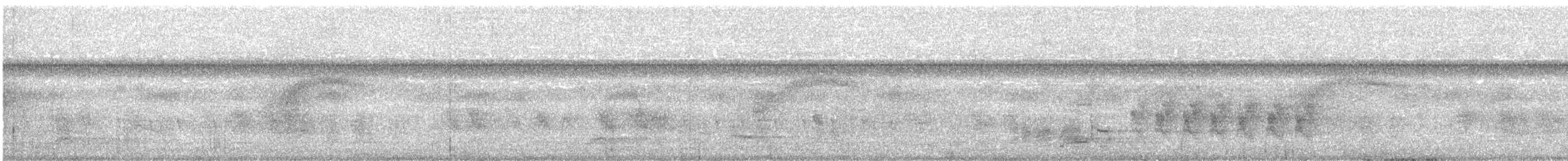 Taiwanpfeifdrossel - ML647335574