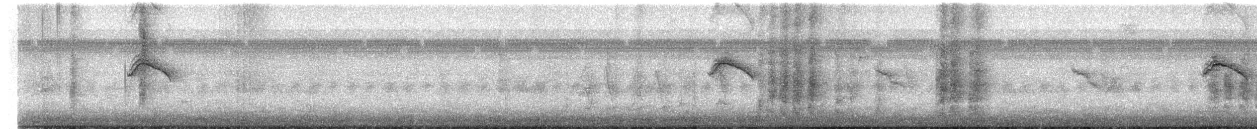 Flammentangare - ML647335684