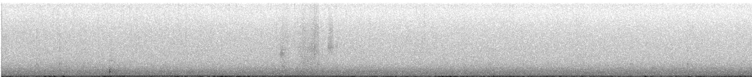 Sägekauz - ML647335729