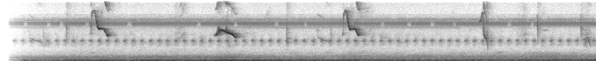 Flammentangare - ML647335927