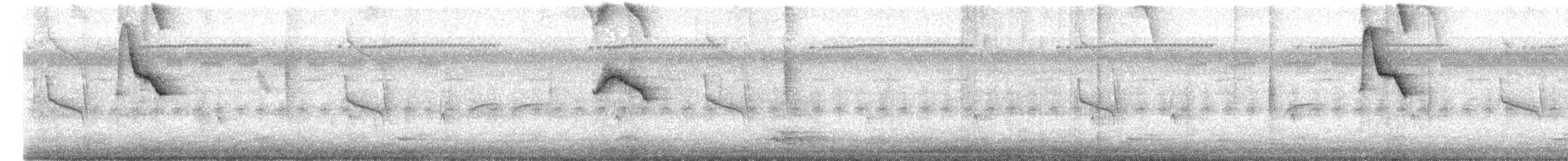 Flammentangare - ML647336051