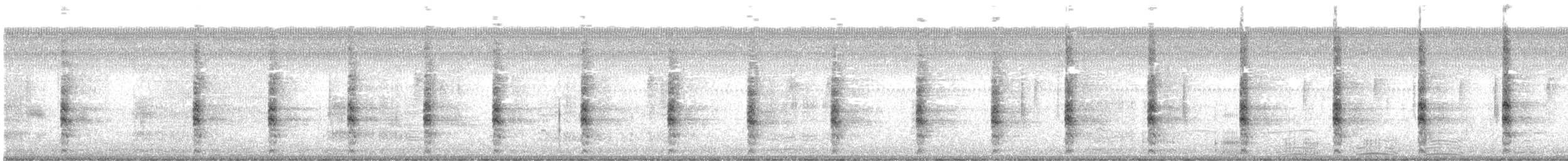 Königsralle - ML647336650