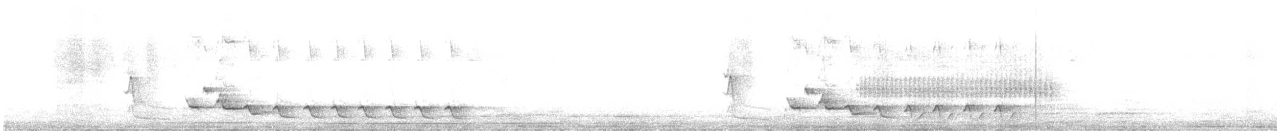 Abyssinian Catbird - ML647337209