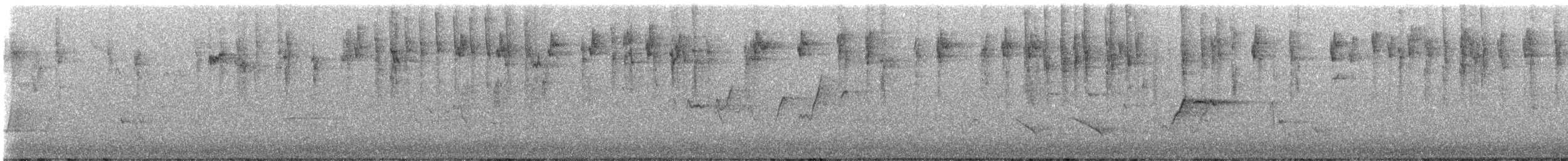 Striated Thornbill - ML647337214