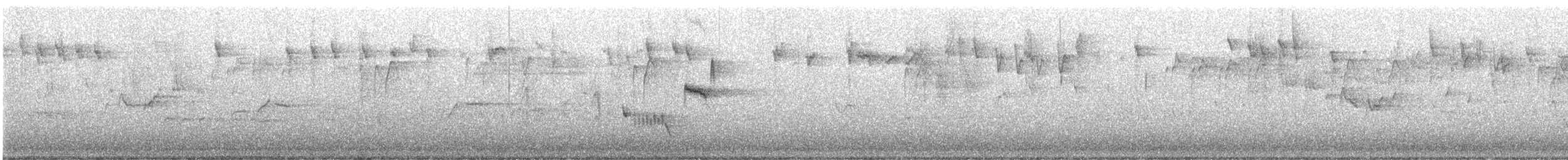 Brown Thornbill - ML647337554