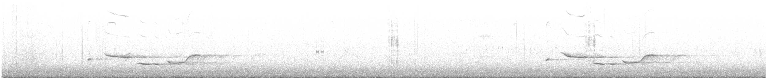 gråkjernebiter - ML647337770