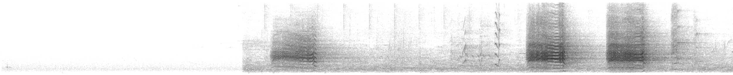 Sulphur-crested Cockatoo - ML647338430