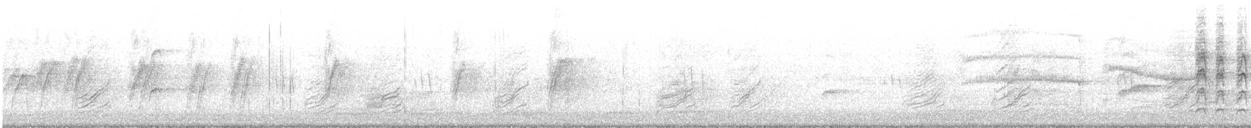 asurskjære - ML647338462