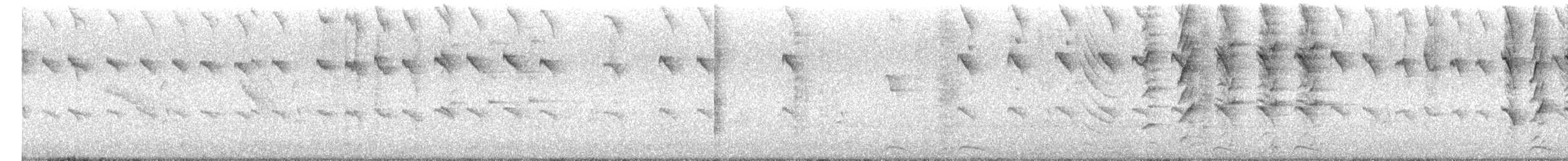 Carib Grackle - ML647338813