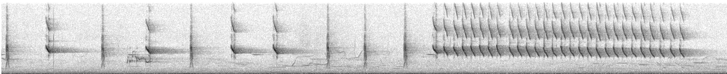 New Holland Honeyeater - ML647339326