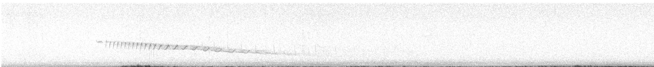 Canyon Wren - ML647339927