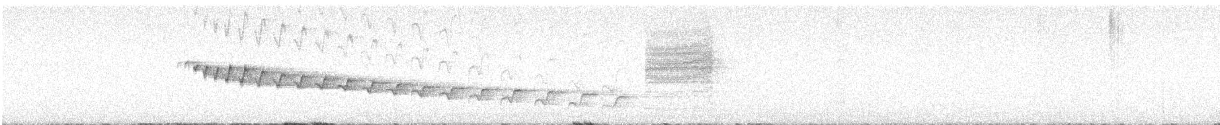 Canyon Wren - ML647339928