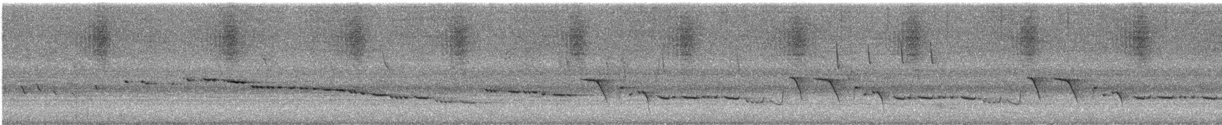 Белогорлая геригона - ML647340868