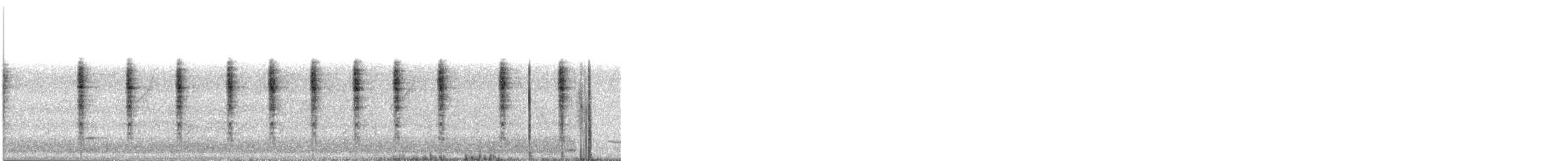 Пятнистый сверчок - ML647341134