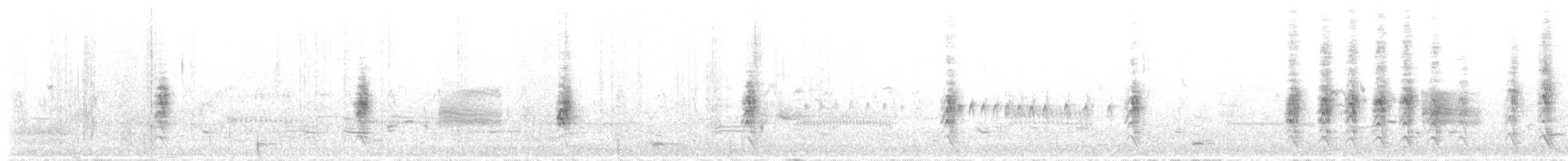 Чёрная крачка - ML647341217