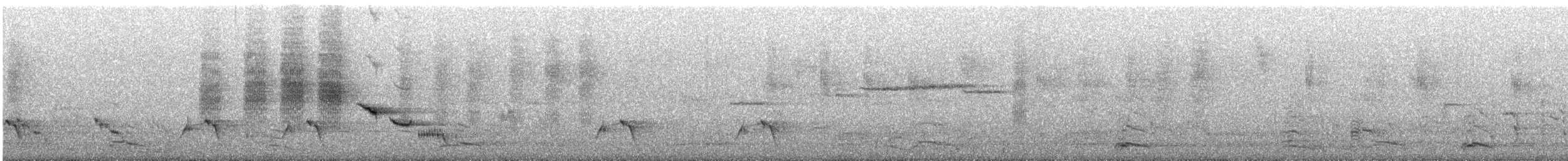 Brown Thornbill - ML647341438