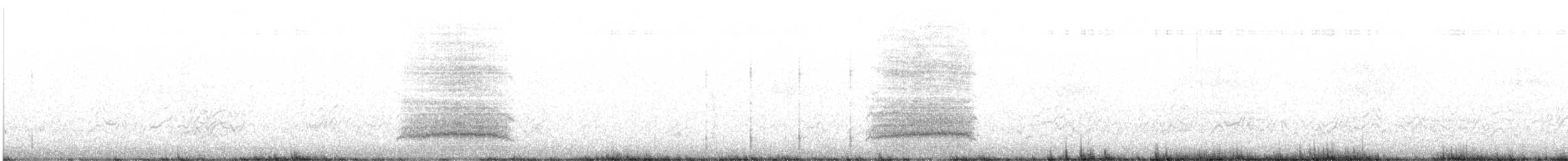 Фрегат-ариель - ML647341476