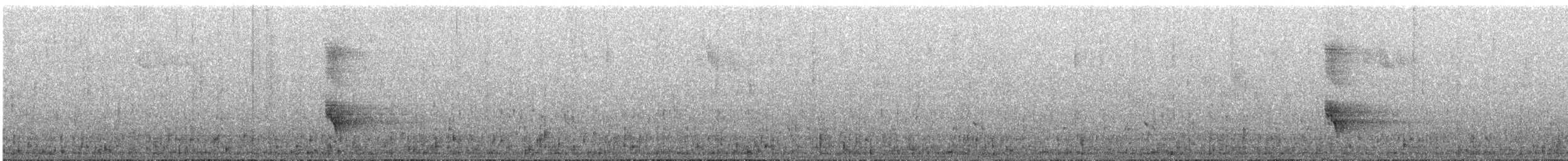 Златокрылый медолюб - ML647341718