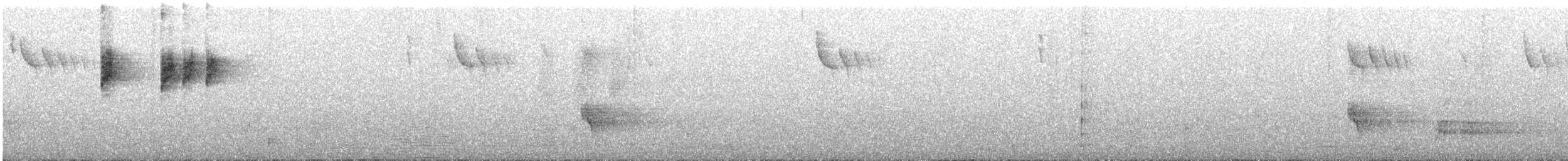 Тасманийская кустовка - ML647341748