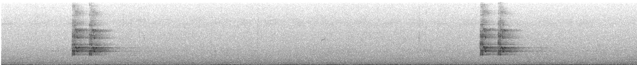 Gray Currawong (Clinking) - ML647342893