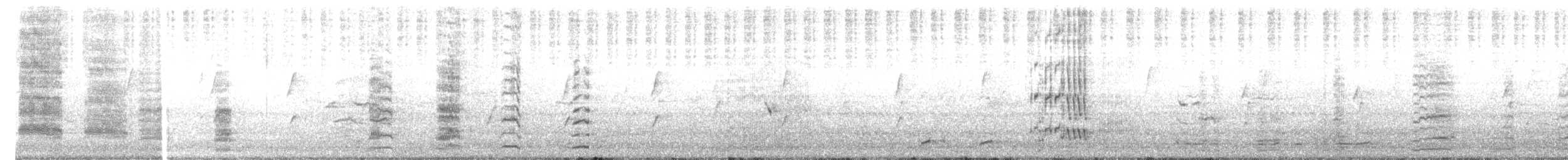 Scaly-breasted Lorikeet - ML647343510