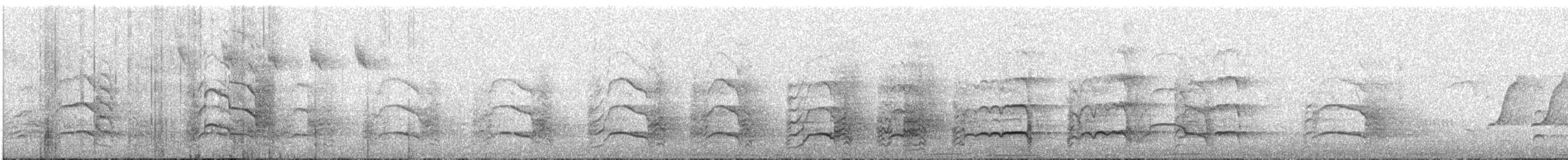 Yellow-tailed Black-Cockatoo - ML647343590