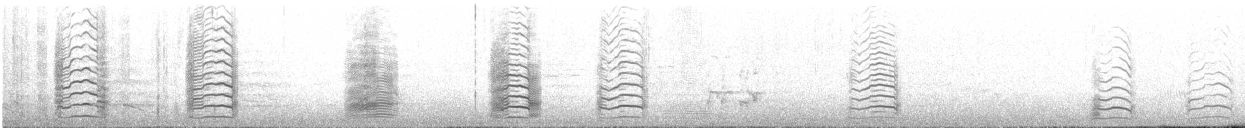 Yellow-tailed Black-Cockatoo - ML647343627