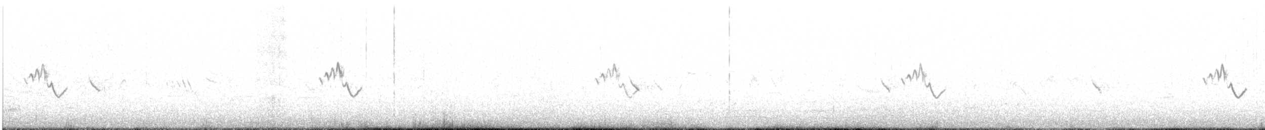 Australian Pipit - ML647343676