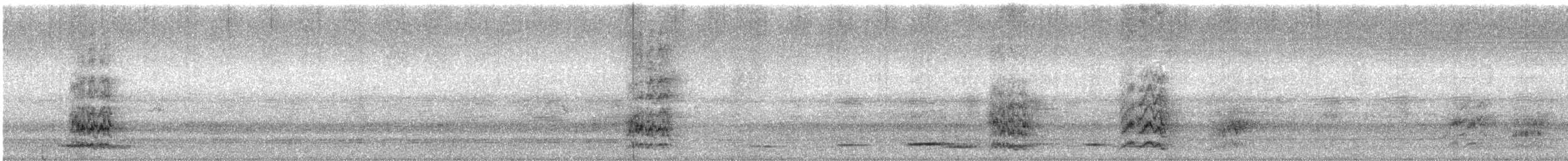 Superb Parrot - ML647343858