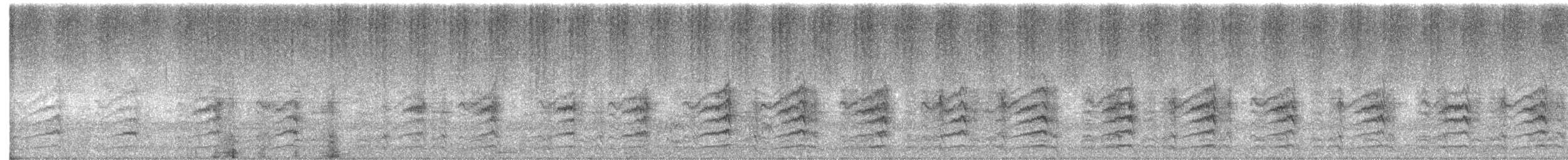 Superb Parrot - ML647343978