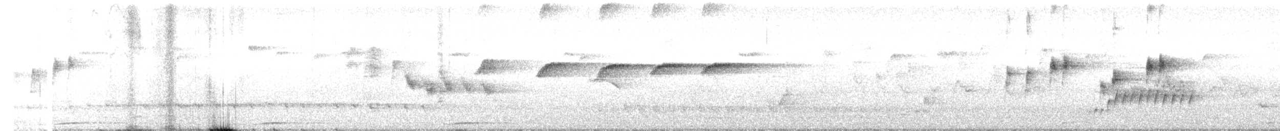 Rufous Scrub-bird - ML647344096